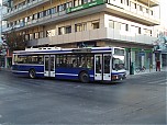P1012250.JPG