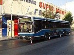 P1012260.JPG