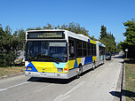 Filename=DSC01549.JPG
Filesize=2258KiB
Dimensions=3072x2304
Date added=Jan 19, 2025 DSC01549.JPG