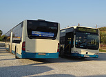 Filename=DSC03619.JPG
Filesize=816KiB
Dimensions=2048x1507
Date added=Jan 19, 2020 DSC03619.JPG