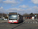 Filename=DSCN3174.JPG
Filesize=1354KiB
Dimensions=3072x2304
Date added=Mar 25, 2026 DSCN3174.JPG