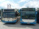 IMG_20260625_161338.jpg