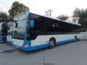 IMG_20260701_205313.jpg