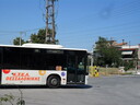 SAM_7046.JPG