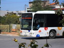 SAM_7050.JPG