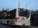 SAM_7270.JPG