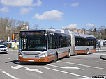 03_Roodebeek.jpg