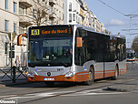 13_Merode.jpg