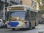 292_athinas_kotzia_035.jpg