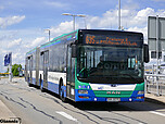 343_man_Lions_City_GL_munchen_fh_Busverkehr_Suedbayern_GmbH.jpg