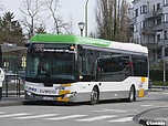 51_Roodebeek.jpg