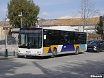 6143_markoni_elaionas_052.jpg