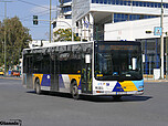 6149_pireos_chamosternas_tavros_049.jpg
