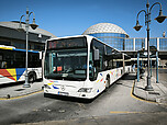 IMG_20250430_160639.jpg