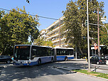 IMG_20250914_133217.jpg