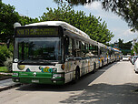 P1040358.JPG