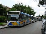 P1040366.JPG